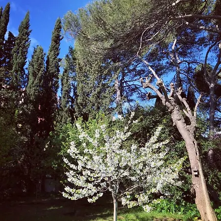 Maison La Roseliere Pensionat Montpellier